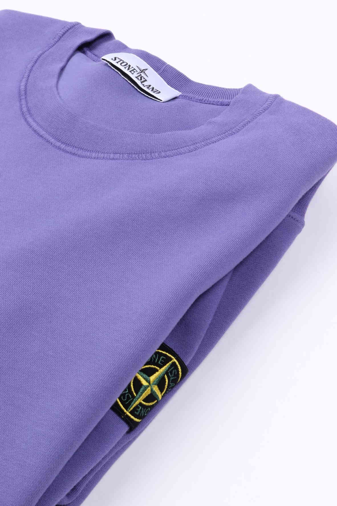 6100060 s0051 v0047 - lavender