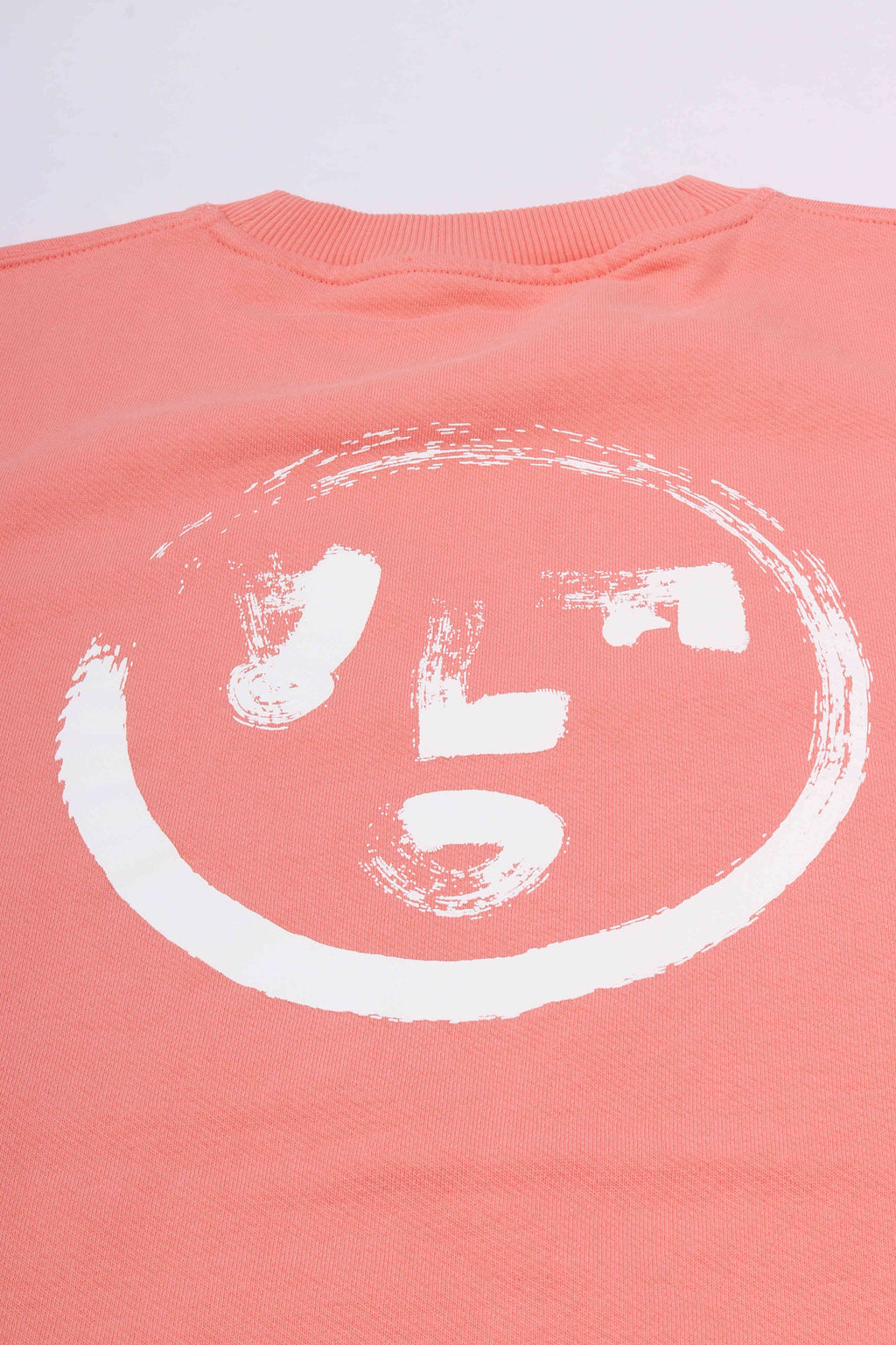 Brushstroke face crewneck burnt coral