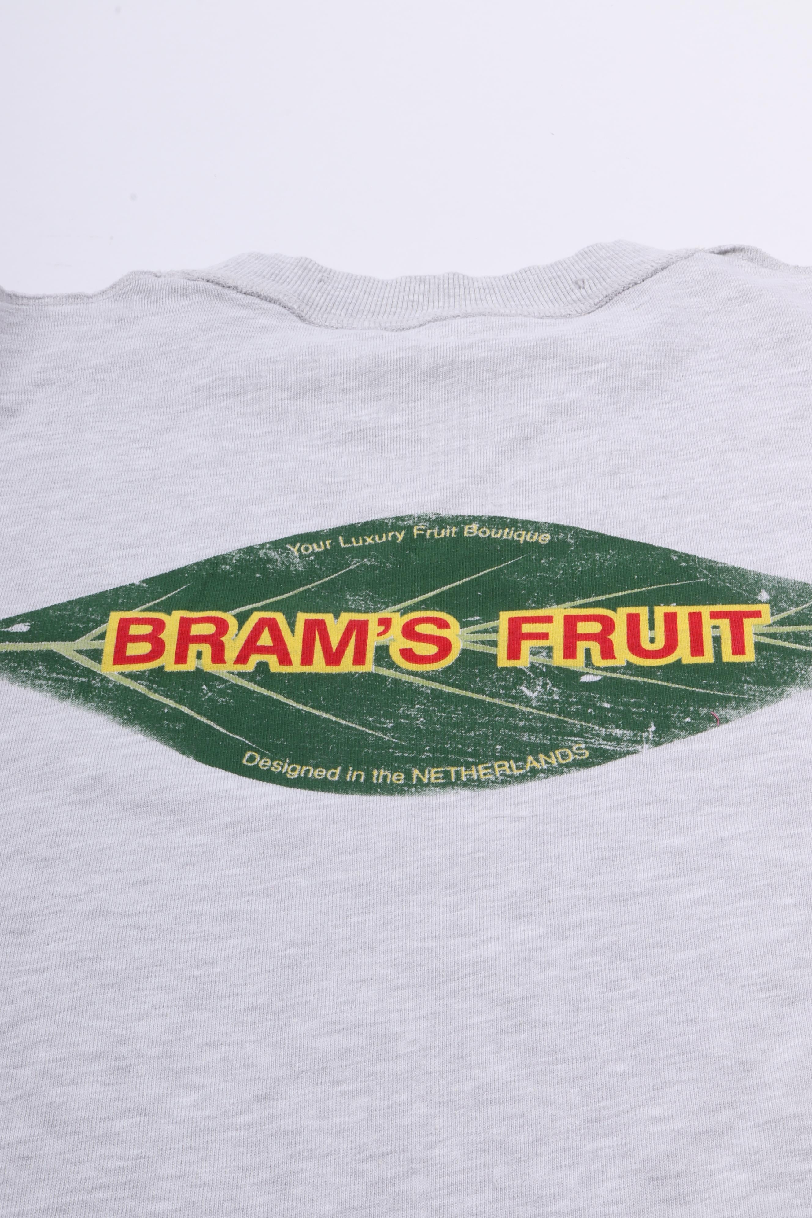 Distressed leaf t-shirt grey melange