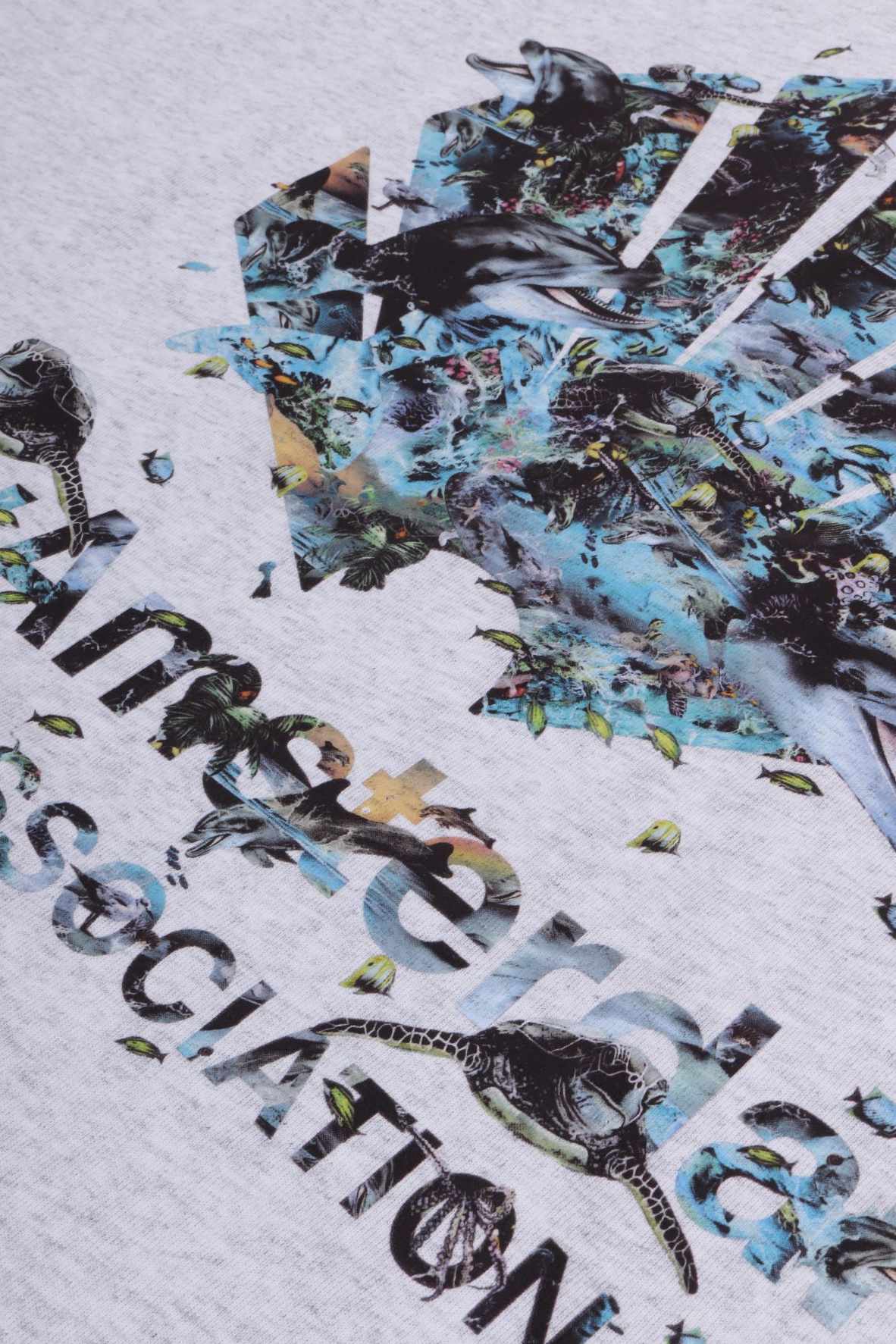 Dolphin tee ash