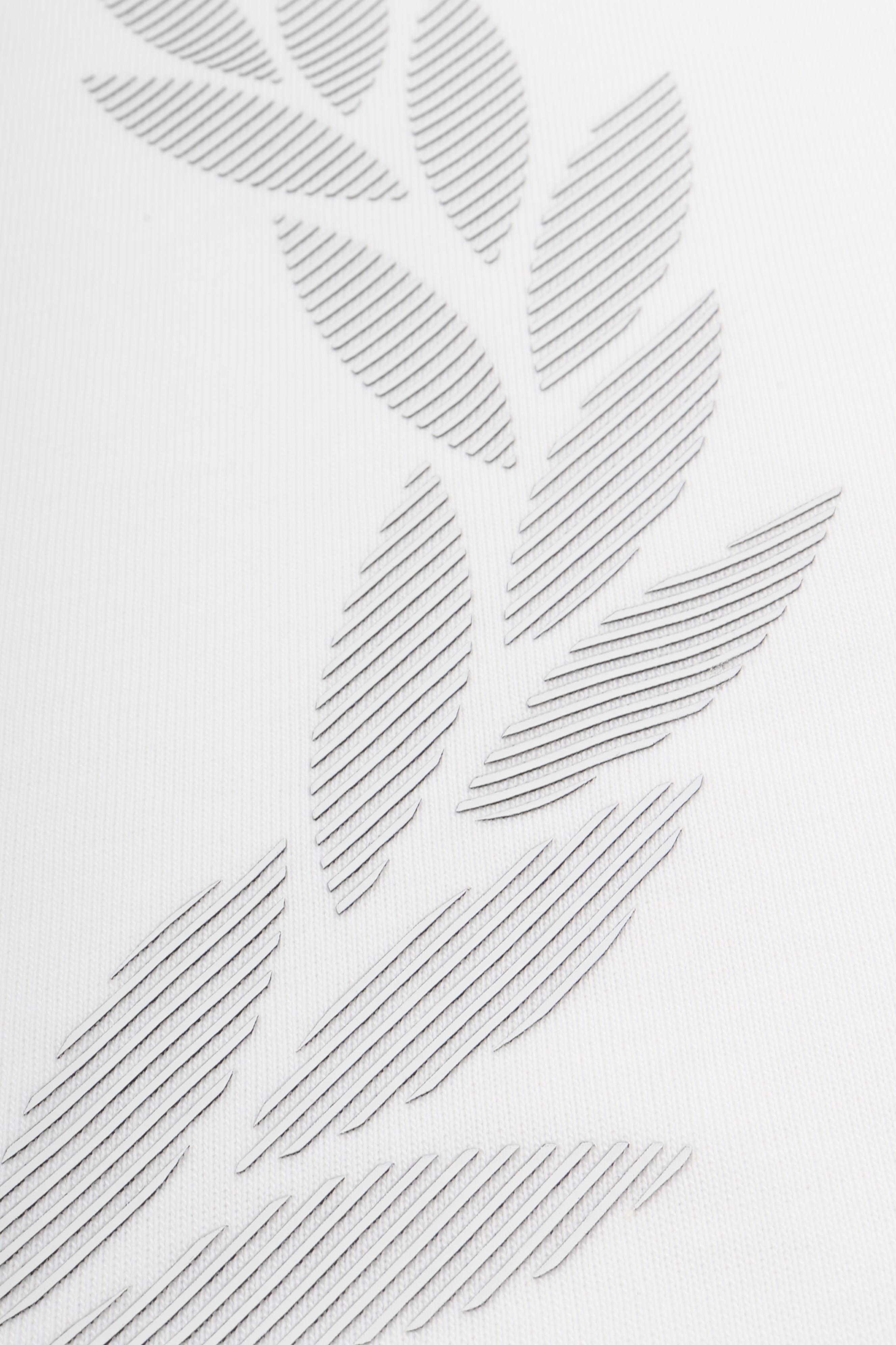M2474 129 - snow white